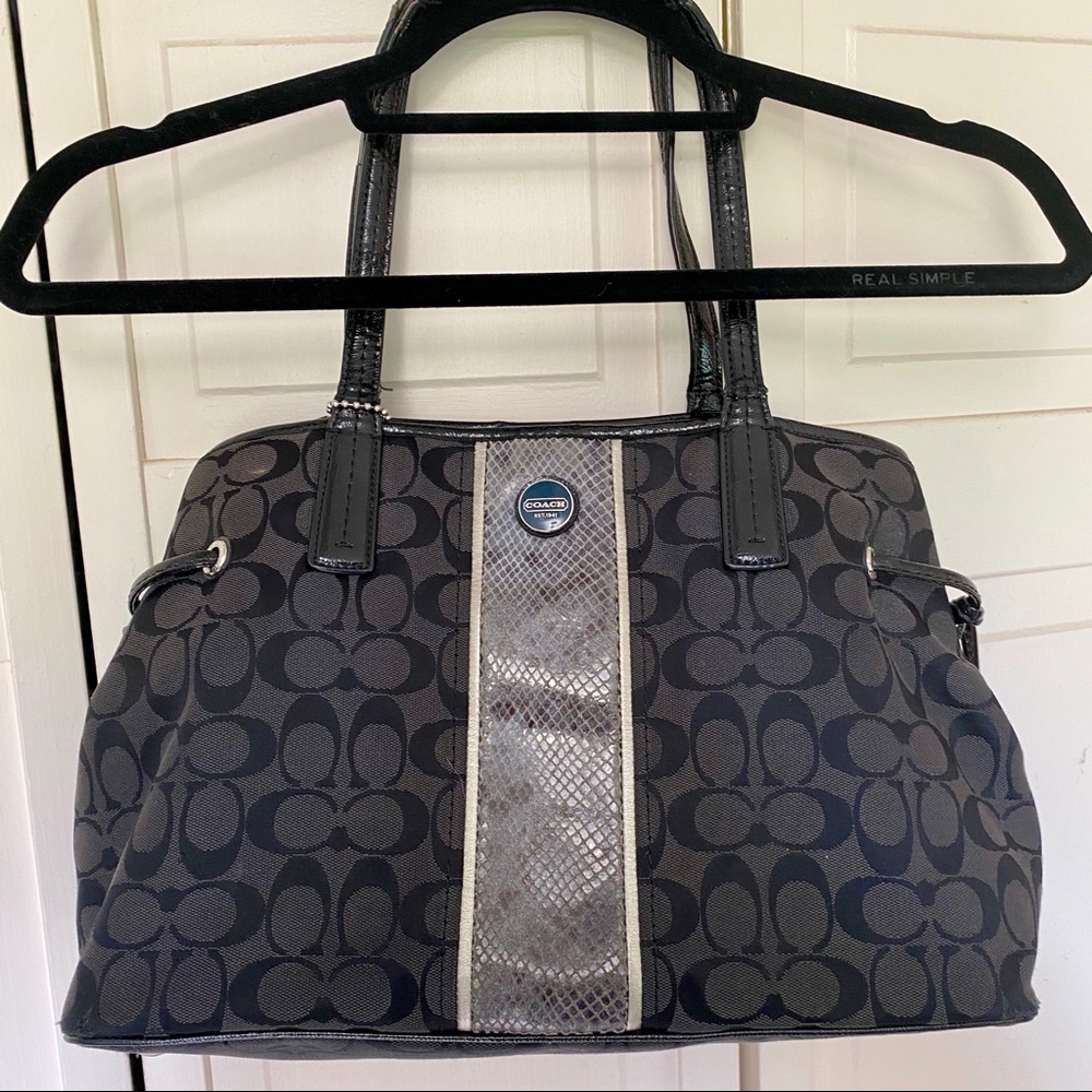Signature Stripe Python Carryall Bag - Picture 2 of 8